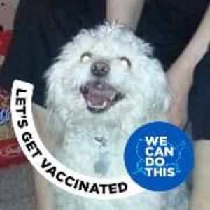 Meet your Posher, Dawn